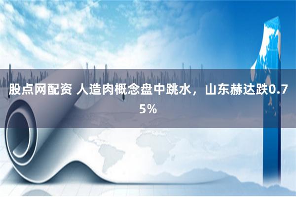 股点网配资 人造肉概念盘中跳水，山东赫达跌0.75%