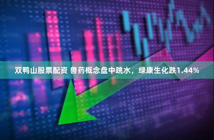 双鸭山股票配资 兽药概念盘中跳水，绿康生化跌1.44%