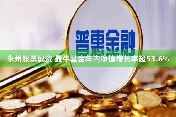 永州股票配资 最牛基金年内净值增长率超53.6%