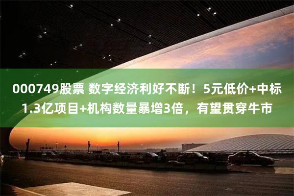 000749股票 数字经济利好不断！5元低价+中标1.3亿项目+机构数量暴增3倍，有望贯穿牛市