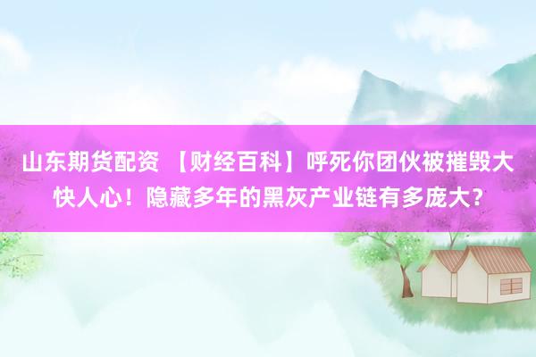 山东期货配资 【财经百科】呼死你团伙被摧毁大快人心！隐藏多年的黑灰产业链有多庞大？