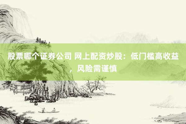 股票哪个证券公司 网上配资炒股：低门槛高收益，风险需谨慎