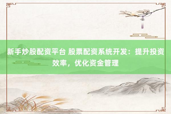 新手炒股配资平台 股票配资系统开发：提升投资效率，优化资金管理