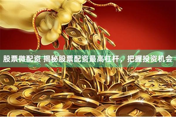 股票微配资 揭秘股票配资最高杠杆，把握投资机会