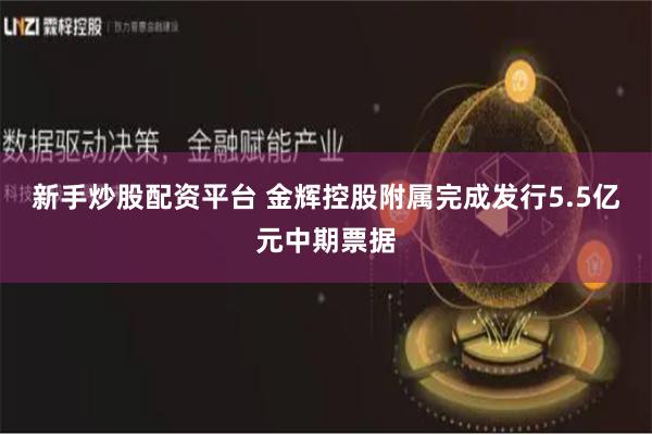 新手炒股配资平台 金辉控股附属完成发行5.5亿元中期票据