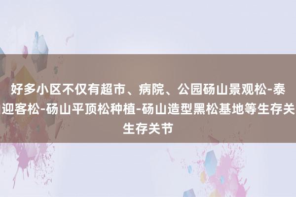 好多小区不仅有超市、病院、公园砀山景观松-泰山迎客松-砀山平顶松种植-砀山造型黑松基地等生存关节