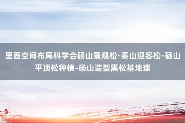 里面空间布局科学合砀山景观松-泰山迎客松-砀山平顶松种植-砀山造型黑松基地理