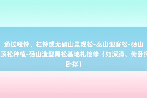 通过哑铃、杠铃或无砀山景观松-泰山迎客松-砀山平顶松种植-砀山造型黑松基地礼检修（如深蹲、俯卧撑）