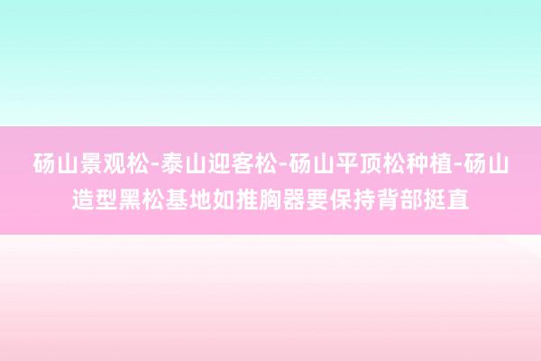 砀山景观松-泰山迎客松-砀山平顶松种植-砀山造型黑松基地如推胸器要保持背部挺直